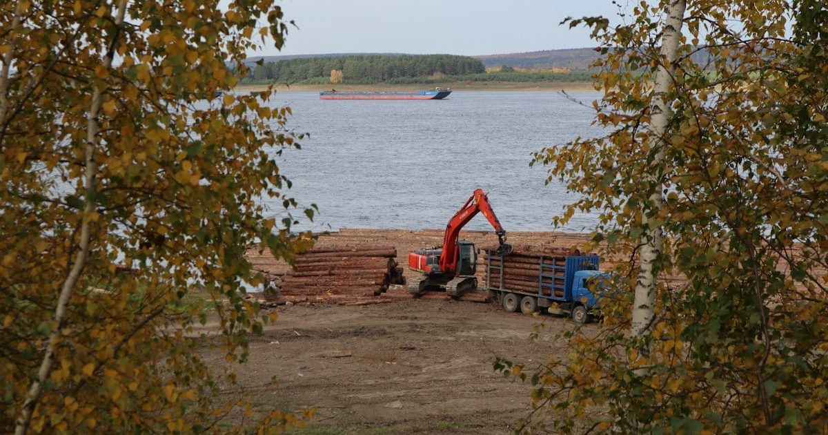 a crane is working on a pile of logs